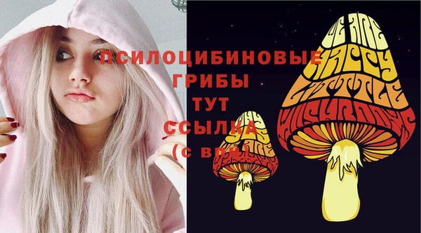 мдпв Мегион