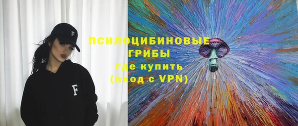 мдпв Мегион