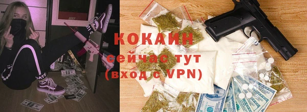 мдпв Мегион