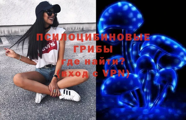 мдпв Мегион